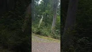 Herborn ciąg dalszy 