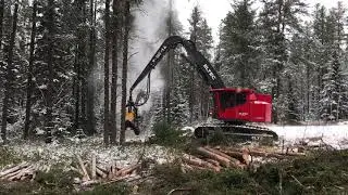 ReadyQuip Demo - Featuring Eltec FH277L & Ponsse H8HD - (part 1)