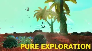 Paradise - No Man's Sky Pure Exploration - No Commentary/HUD