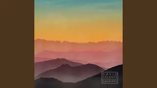 Serene Mind