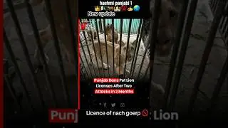 New update all pet lovers join🐅 Pakistan panjabi worning #foryou