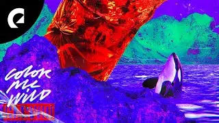 Harvio - Color Me Wild (Royalty Free Music)