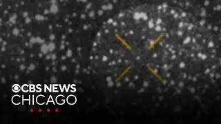 NASA, European Space Agency release images of questionable object