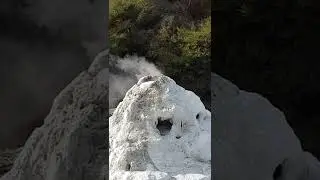 Lady Knox Geyser eruption event Waiotapu New Zealand