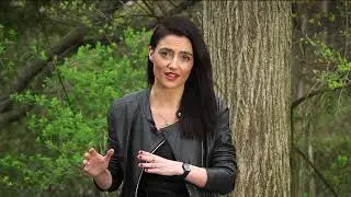 U-M PICS 2020 Graduation Keynote Speaker – Elodie Vialle