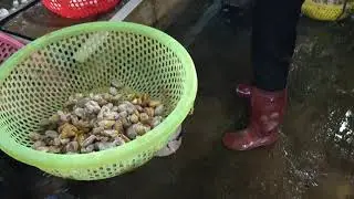 Silkworm Factory, Dalat, Vietnam