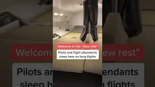 Did you know about the secret bedroom on planes?! #Shorts