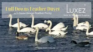 Luxez Full Goose Downs Feather Duvet Quilt