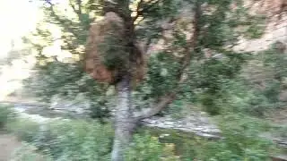 जय मां गाड कि गढदेवी माता की जय हो जय हो समस्त भक्त जनौ की जय हो आप सभी पर आशीर्वाद माता का🙏🙏
