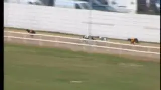 IGB - The Jaytee Jet @ Stud Unraced  Semi-Final 14/06/2018 Race 2 - Shelbourne Park
