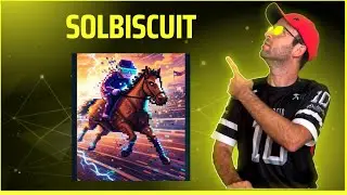 SolBiscuit - Token com estrutura robusta e com muitas funcionalidades, vejam as an&aacute;lises #solbiscuit