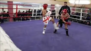 davit faroyan kickboxing DkD final Georgia 2017
