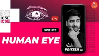 Human Eye - Structure & Function| ICSE Science Series | Class 6 - 8 | Young Wonders | Pritesh Sir