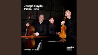 Piano Trio in D Major, Hob. XV: 24 (1795) : Allegro