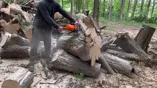 A Full Day Cutting Wood with STIHL MS 462 C-M