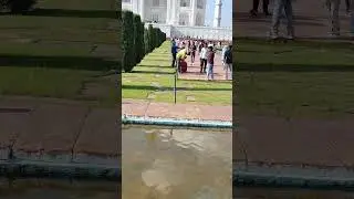 #tajmahalview #tajmahalvlog #tajmahaltruth #trendingvideo #trendingreels #trendingnow #trendingshort