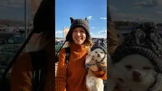 Face Masks Required (Comedy Dog Skit) | The Furry Kiddos