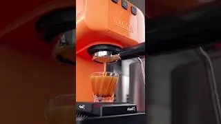 Gaggia Espresso Evolution + Bottomless = 🔥 Shot?