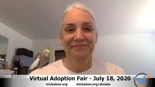 Join us on July 18th for Mickaboo's next Virtual Adoption Fair!