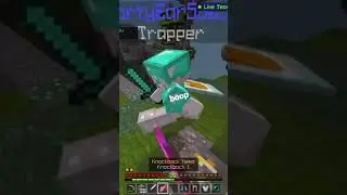 invisibility spell + nemo = op #hive #skywars