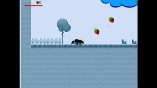 Raccoon Mania