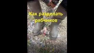 #1 Moose scouting trip. How to clean grouse. Разведка на лося перед открытием сезона.