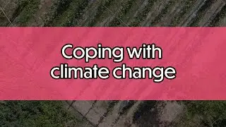 Coping with climate change