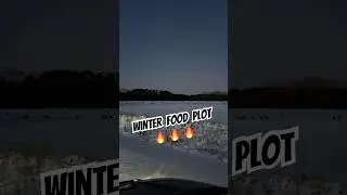 Зимняя кормовая площадка = РАЙ ДЛЯ ОЛЕНЕЙ! Если все сделать правильно&hellip; вы увидите результаты! 🤫 #...