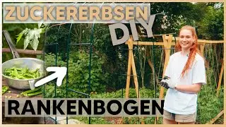 RANKBOGEN BEPFLANZEN 🌱 Gem&uuml;se vertikal anbauen