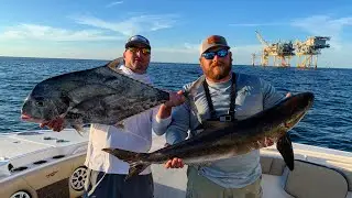 Cobia!! Great day offshore fishing!!