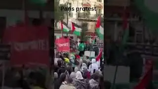 Paris Protest 