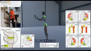 Pecolift Work High & Low