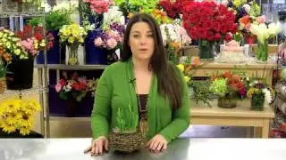 Delightful Daffodil Garden Care & Handling Tips