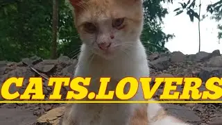 Sepesial Dede April Ft Ageng Musik+Menyulam Kain Rapu+Si Kecil+Mengejar Badai+Hadirmu Bagai Mimpi