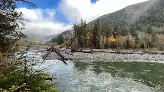 Best Hiking in Washington State | North Fork Quinault Trail in Olympic National Park!! Our favorite!