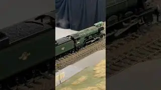 Gauge 1 trains pass #gauge1 #modelrailway