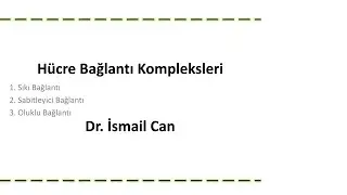 Hücre-A14: Hücre Bağlantı Kompleksleri (Sıkı Bağlantı, Dezmozom ve Gap Junction) | Dr. İsmail Can
