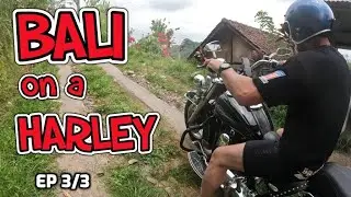 I ride a Harley Davidson in Bali! Ep.3/3