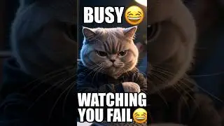 My Cat Pretends He&rsquo;s Busy But Watches Me Fail 😼 #shorts #memes