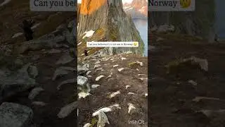 Hesten hike in Senja, Norway 🇳🇴 Midnight. No headlamp. No darkness.