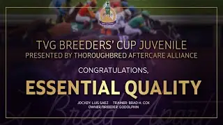 $2M TVG Breeders' Cup Juvenile presented by TAA: Essential Quality