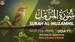 Surah Muzammil Full Soothing Recitation with Arabic Text | English Translation #mdkaidia