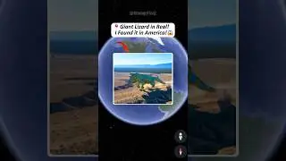 Giant Lizard😱 found on google maps & google earth! #shorts
