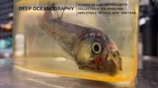 Highlights from the Deep Pacific Seamounts 2021 Expedition