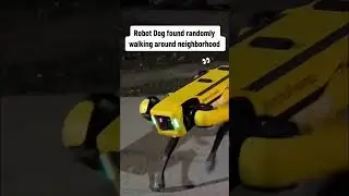 🤖🐕 An actual ROBOT DOG walking the streets freely