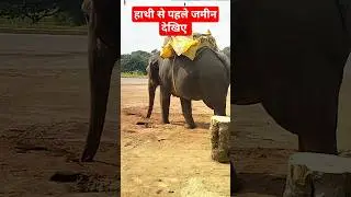 hathi wala hai #viral short video trending #dehati Safar
