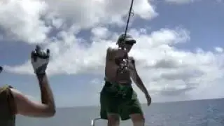 carangue gt