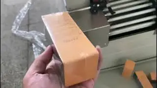 Automatic shrink wrapping machine for carton box