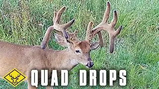 QUAD DROPS | Взлеты и падения охоты на ГИГАНТСКОГО оленя!