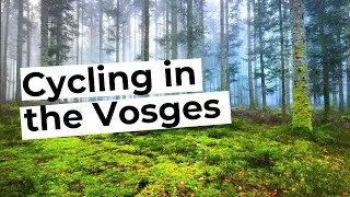Cycling in the Vosges - France